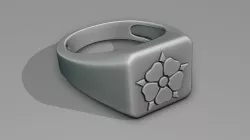 War_hammer 40 K Order of the Bloody Rose Ring