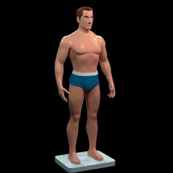 Basic Human Body