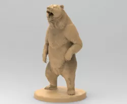 Bear