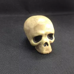 CALAVERITA