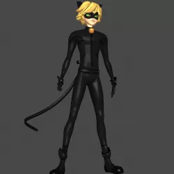 Cat noir