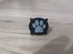 cat noir ring