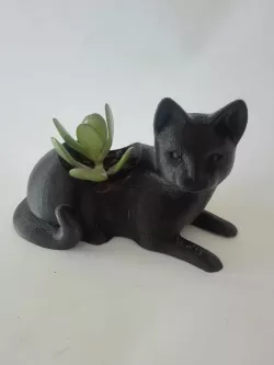 Cat pot