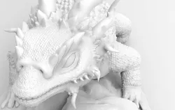 Chameleon