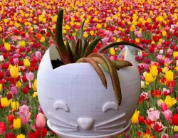Customizable Cat Vessel