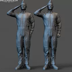 Fighter pilot saluting
