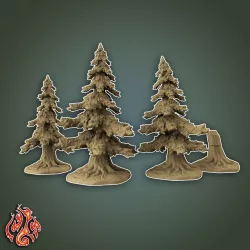 Fir trees