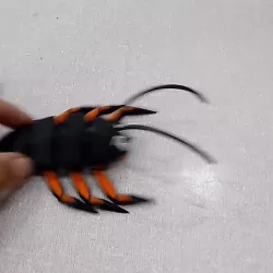 flexi print  cockroach angry