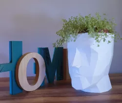 Flower pot face