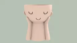 flowerpot - flowerpot