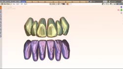 free tooth library