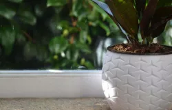 Home Decor Pot
