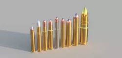 Large Bore Rounds (9 Calibers)