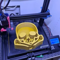 Led Skull Skull