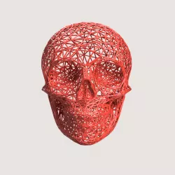 LINE skull