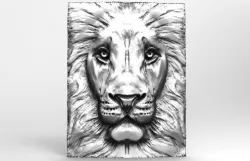 Lion 5 CNC