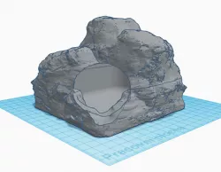 Lizard cave with lid