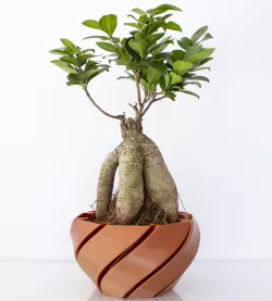 Macetero - Planter - - Jardinera impresa en 3D - 3D printed planter