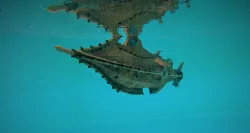 NAUTILUS RC