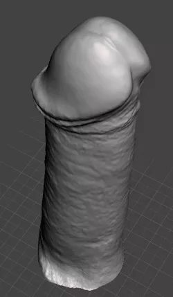 Penis