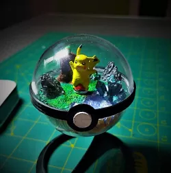 Pikachu/Terrarium