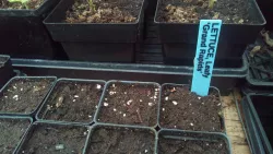 Plant Marker