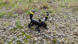 pokemon Noctali umbreon