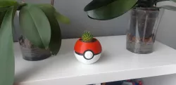 Pot POKEBALL
