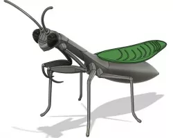 Praying Mantis