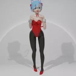 Rem Cat girl suit (RE:ZERO)
