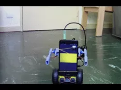 Robot max, robotics project