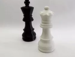 Salt and pepper chess pieces