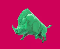Sexy boar