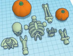 Skeleton for Decoration
