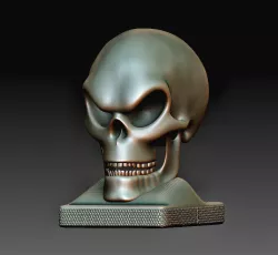 Skull