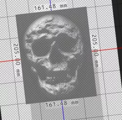 Skull
