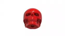 Skull / Death's Head