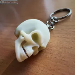 Skull Keychain