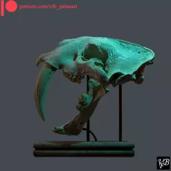 Smilodon fatalis skull