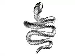 snake ring