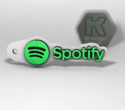 Spotify the Best Keychain