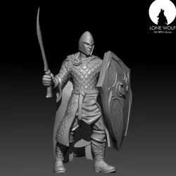 The Aes Sidhe Soldier with sword and shield