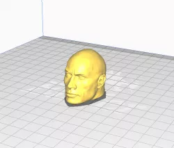The Rock
