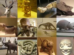 Unprocessed American Museum of Natural History Scans