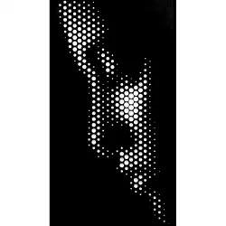 Visage