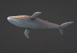 whale