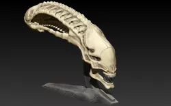 Xenomorph skull with base