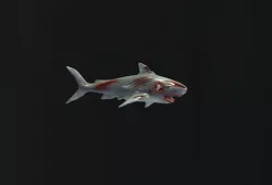 Zombie Shark