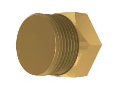 1" Male Pipe End Cap