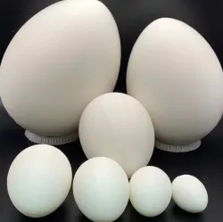 All Egg Sizes Trainer Eggs